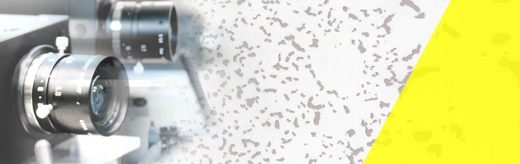 header_bvia_homikro.jpg