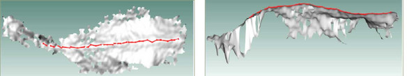 Projekt LoboScore / CowScore3D