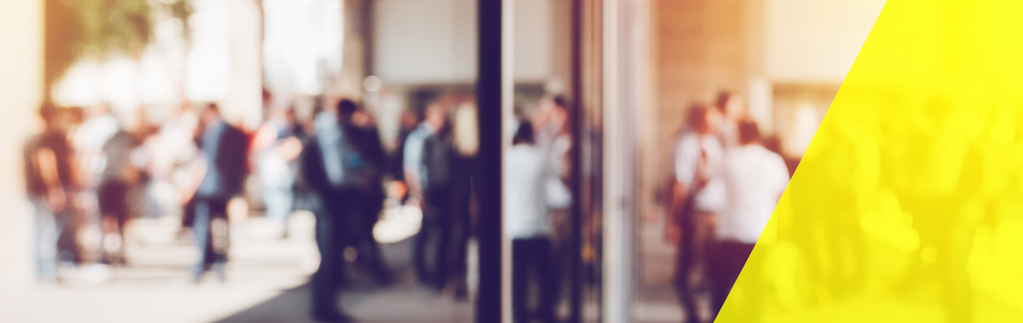 header-aninstitute.jpg