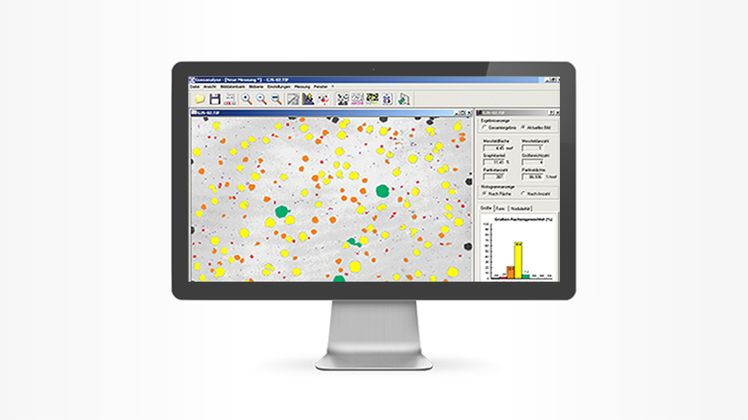 AMGuss - Analyse der Mikrostruktur von Gusseisen AMGuss - Analyse der Mikrostruktur von Gusseisen